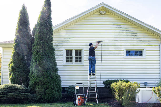 Reliable Gainesville, FL  Pressure Washing Services Solutions